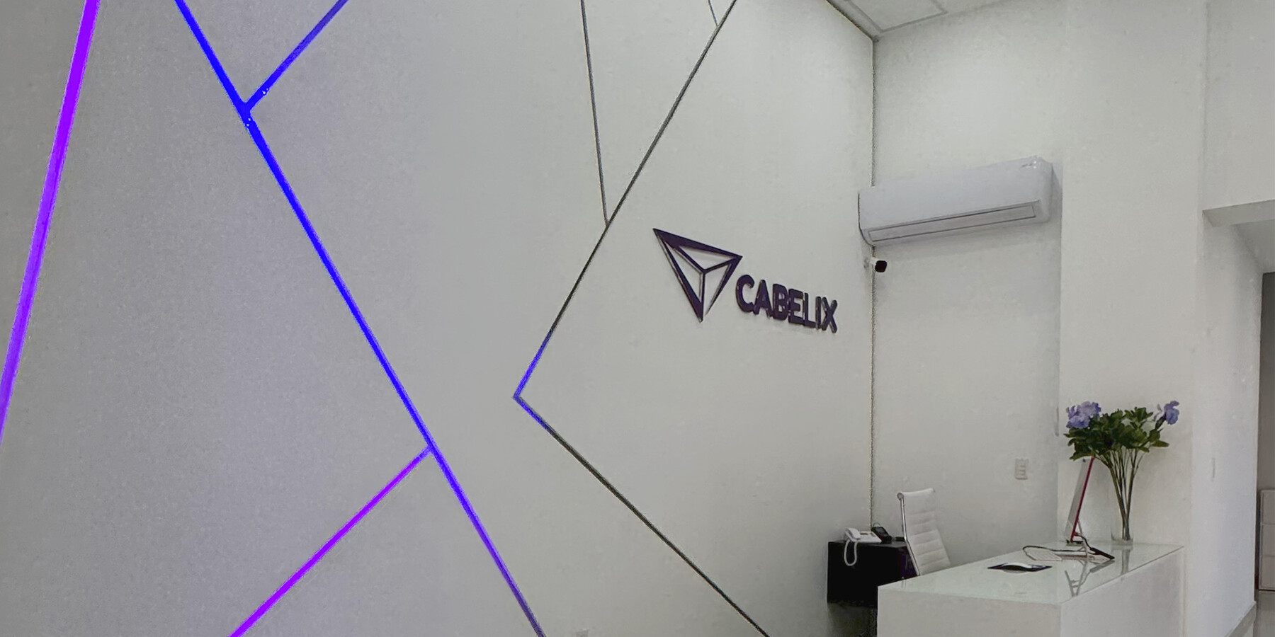 Clínica Cabelix — Recepción